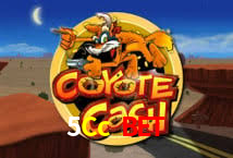 5Cc Bet,5Ccbet.Com